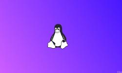 Featured image of post Linux