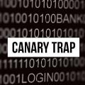 カナリアトラップで機械学習のデータリークを暴く方法