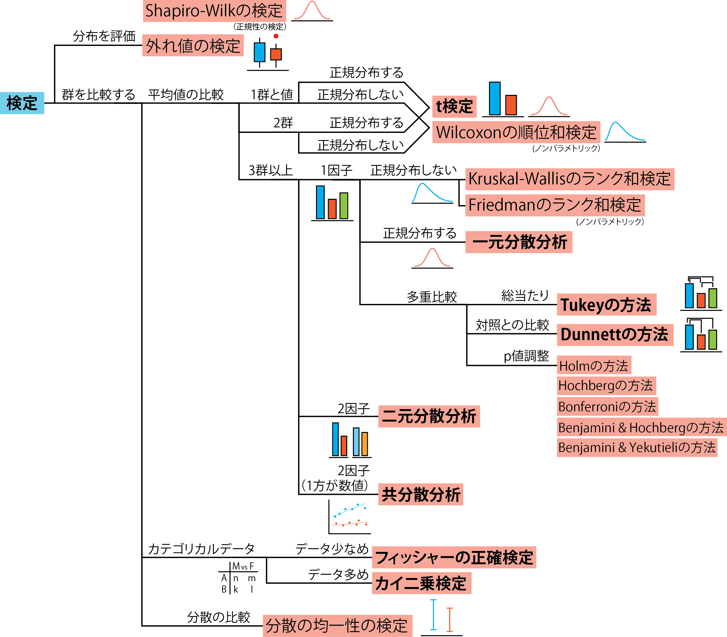 検定の全体図