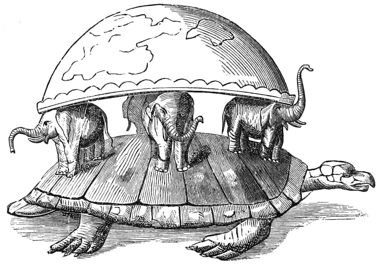 World Turtle