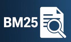 Featured image of post BM25とLLMを使った検索システムの再考