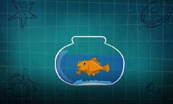 Featured image of post I'm a goldfish
