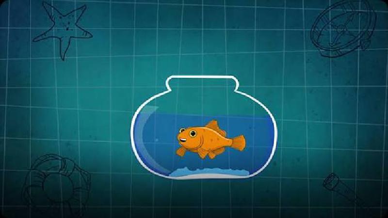 Featured image of post I'm a goldfish