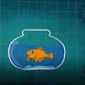 I'm a goldfish